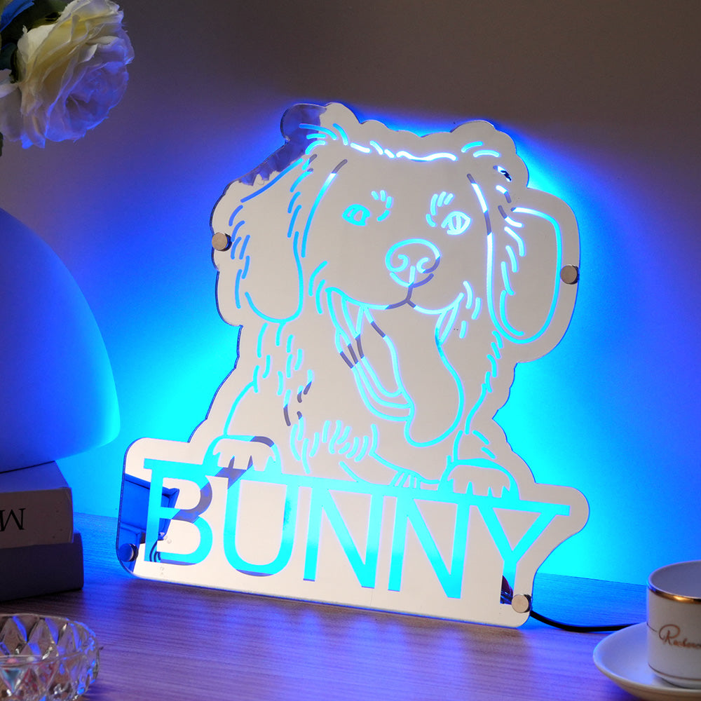 👉 Pet Portrait Mirror Light