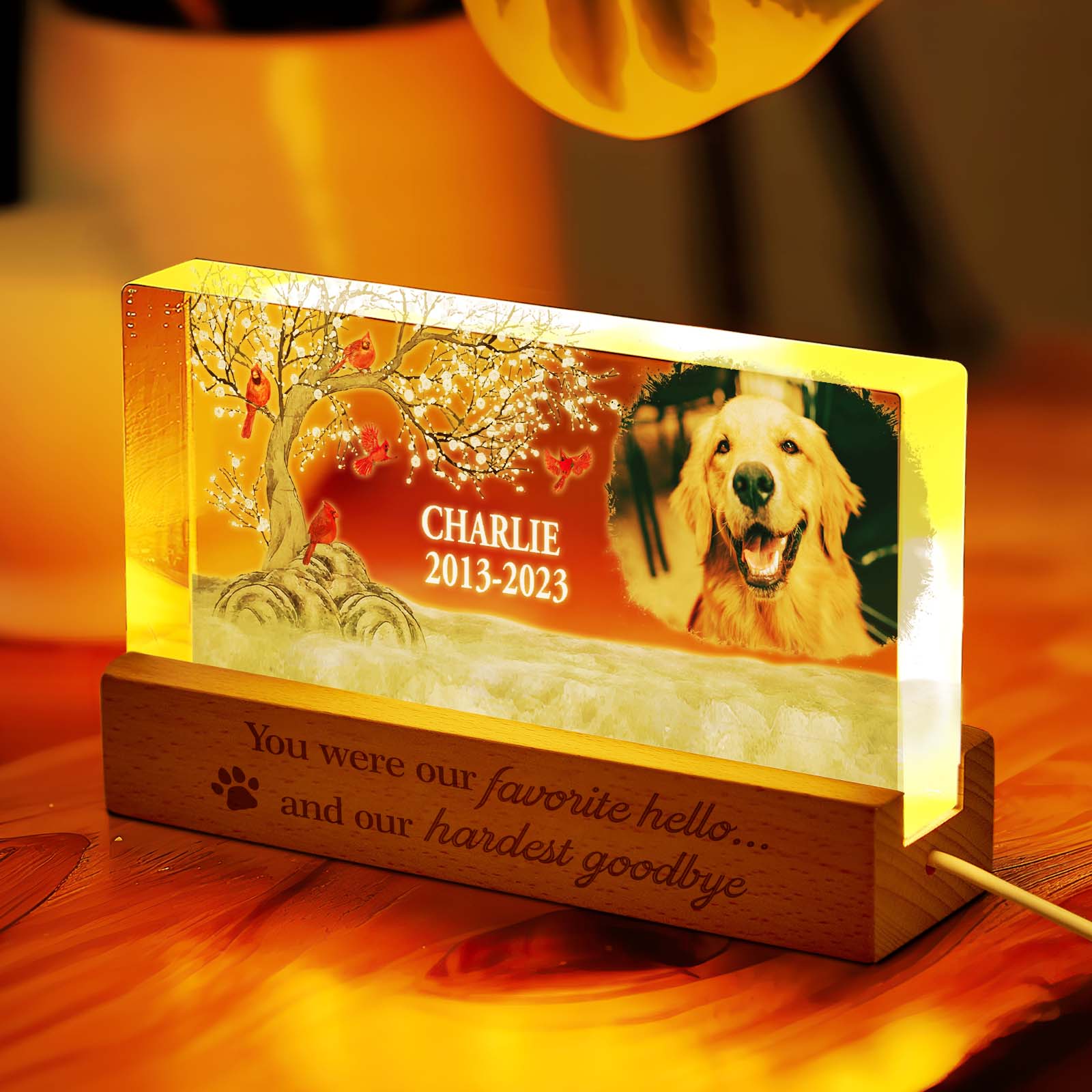 Pet Memory Night Light