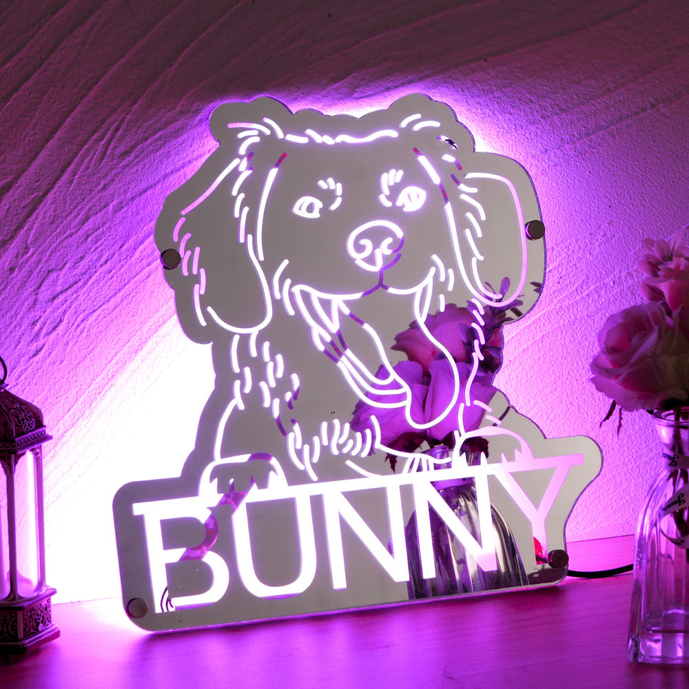 👉 Pet Portrait Mirror Light