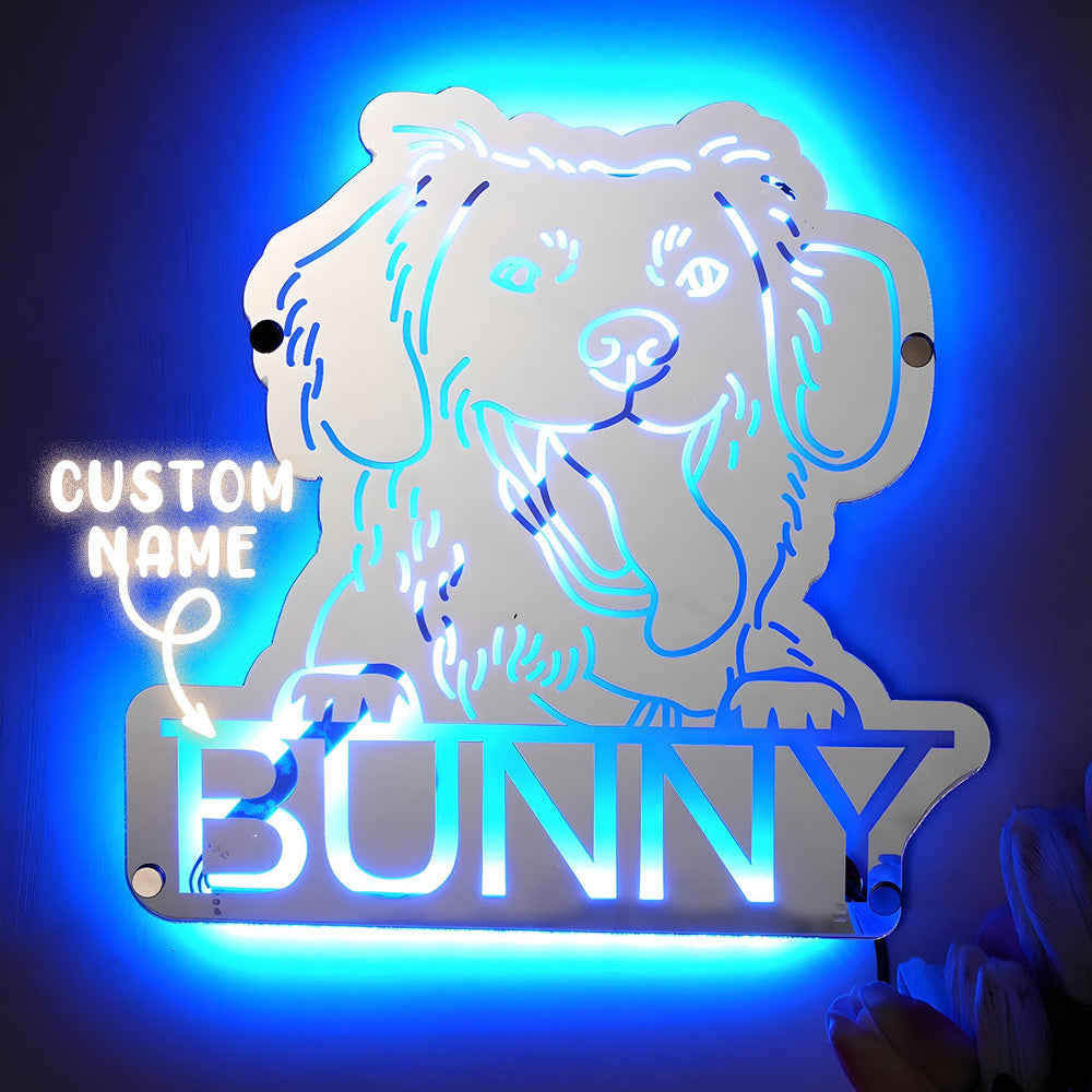 👉 Pet Portrait Mirror Light