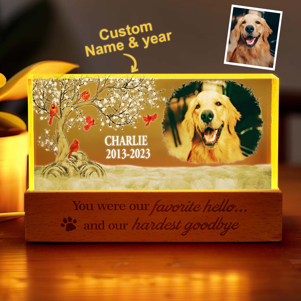 Pet Memory Night Light