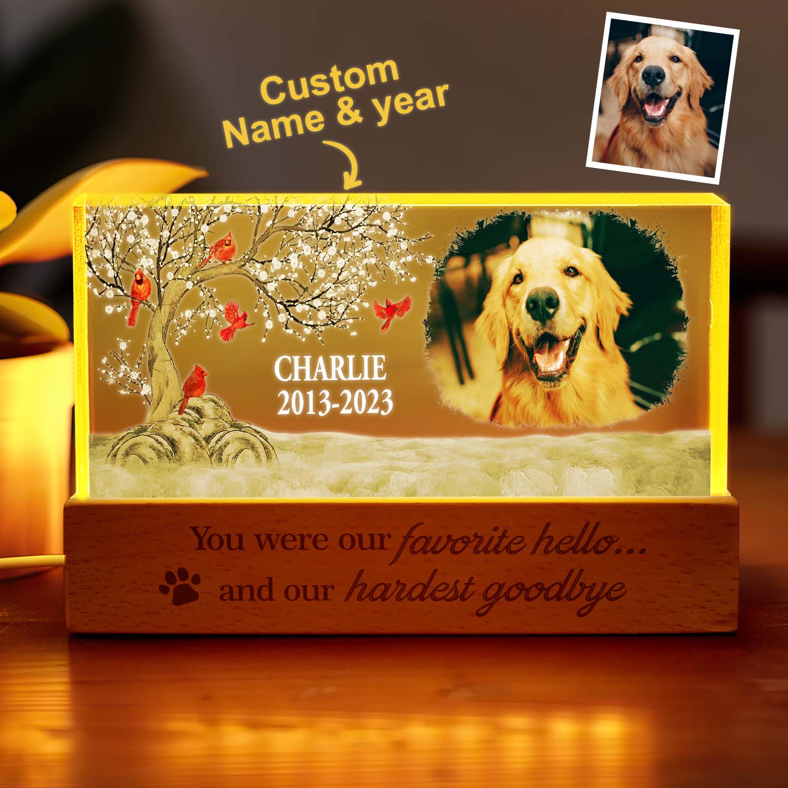 Pet Memory Night Light