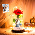 Rose Glass Night Light