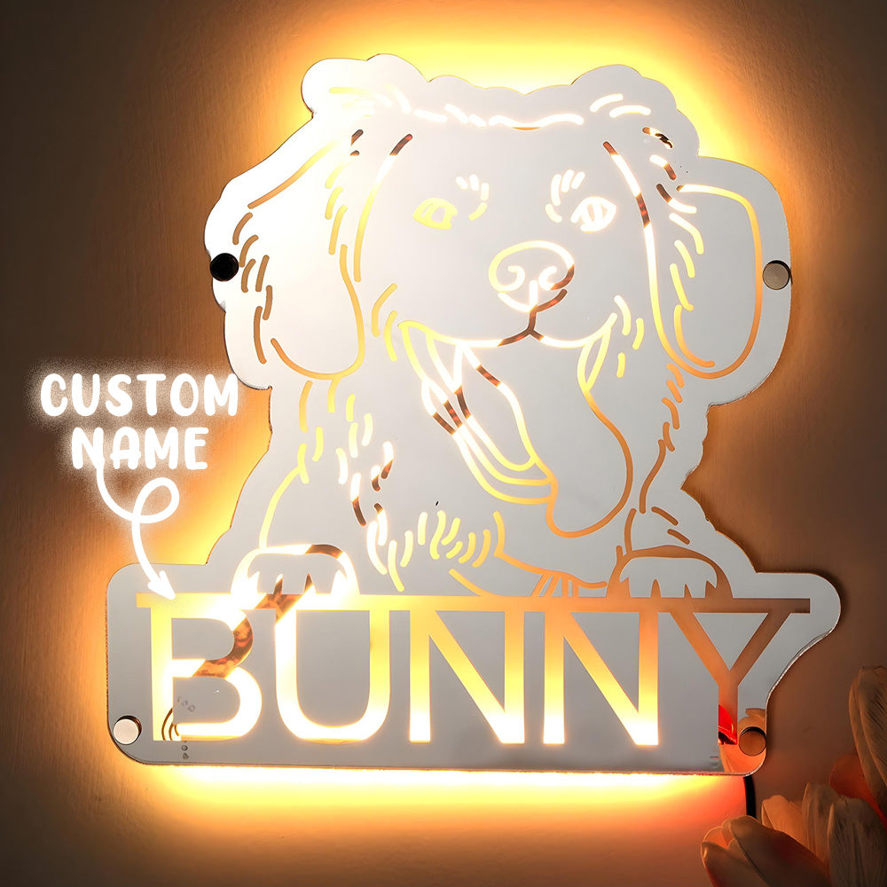 👉 Pet Portrait Mirror Light