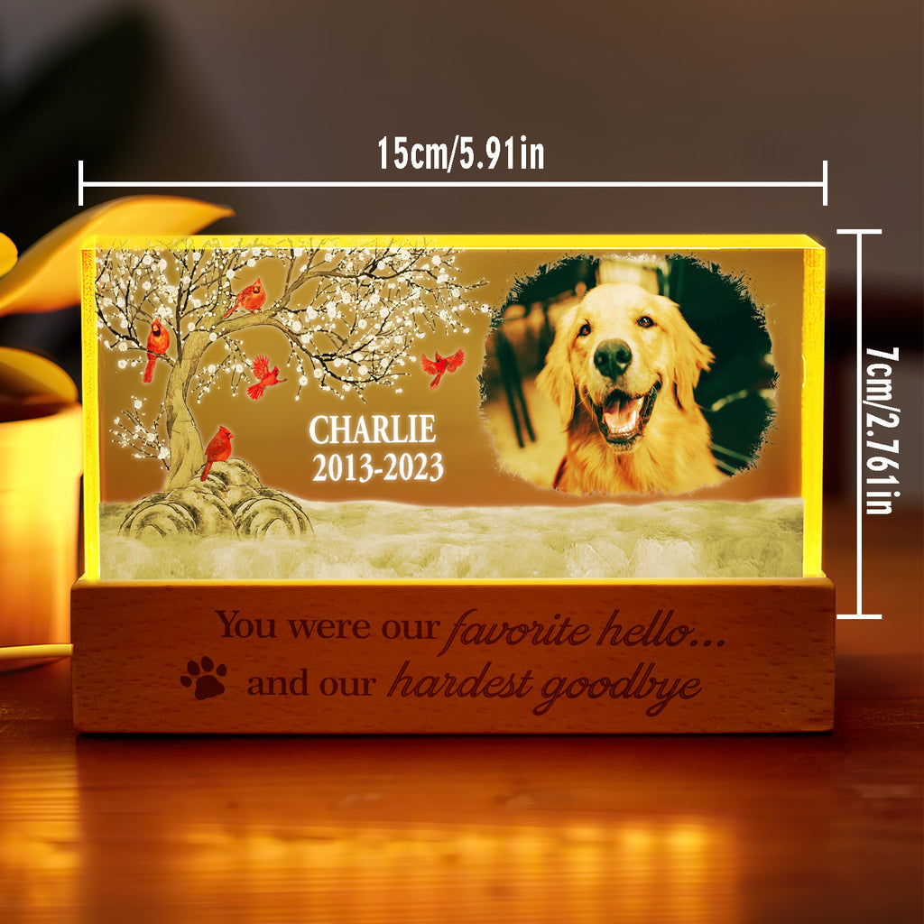Pet Memory Night Light